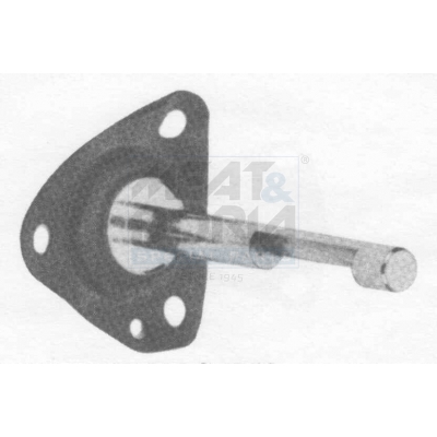 Cod. 1354E