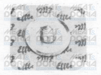 Cod. 1776E