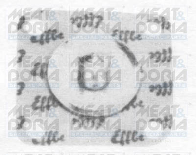 Cod. 1796E
