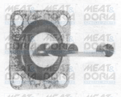 Cod. 4004E