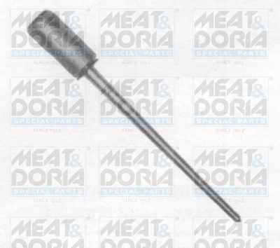 Cod. 4756E