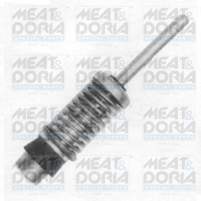 Cod. 4788E
