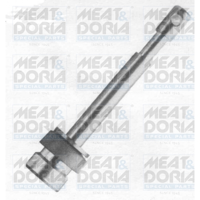 Cod. 4810E