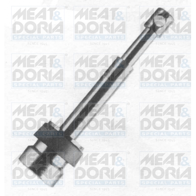Cod. 4861E