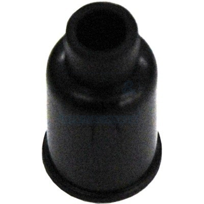 Cod. 71137