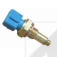 Cod. 82041