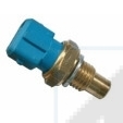 Cod. 82061