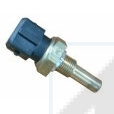 Cod. 82062