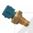 Cod. 82075