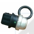Cod. 82081