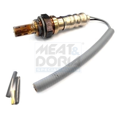 Cod. 81012