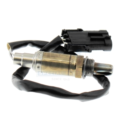 Cod. 81017