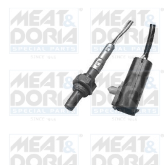 Cod. 81052