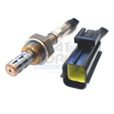 Cod. 81056