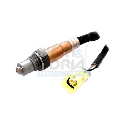 Cod. 81075