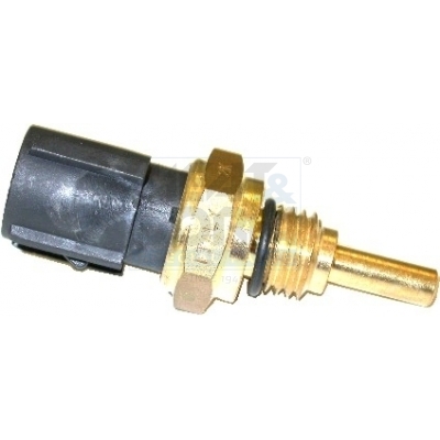 Cod. 82029