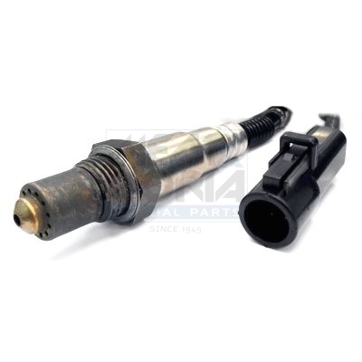 Cod. 81096