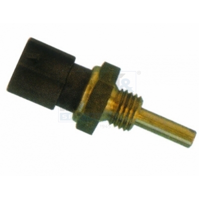 Cod. 82116