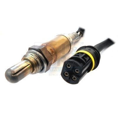 Cod. 81506