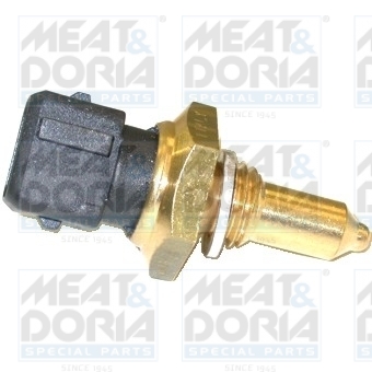 Cod. 82129