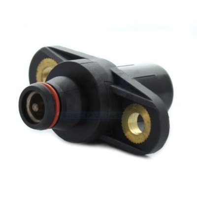 Cod. 87316