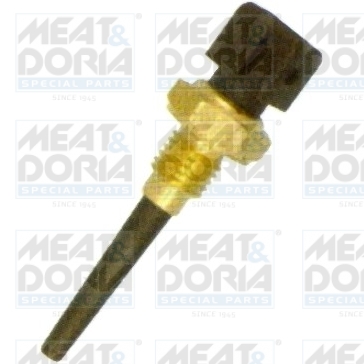 Cod. 82202