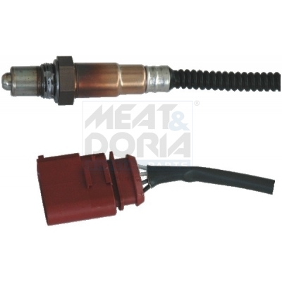 Cod. 81561