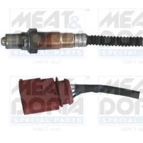 Cod. 81564