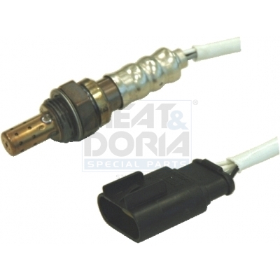 Cod. 81569