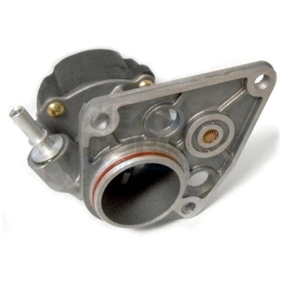 Cod. 91006
