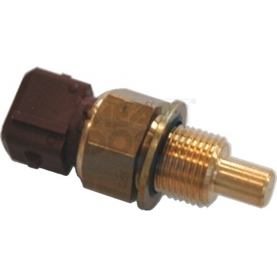 Cod. 82243