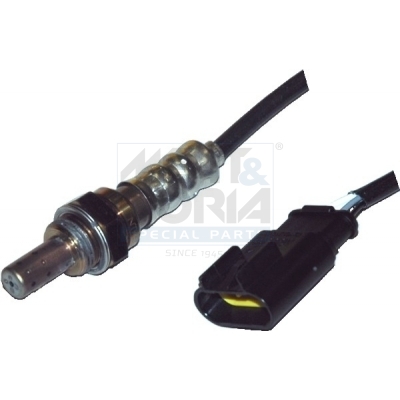 Cod. 81621