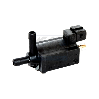 Cod. 9317