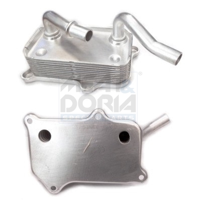 Cod. 95020
