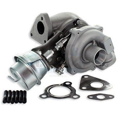 Cod. 65007