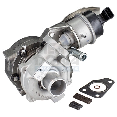 Cod. 65064