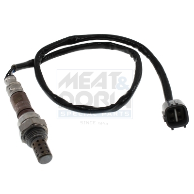 Cod. 81535E