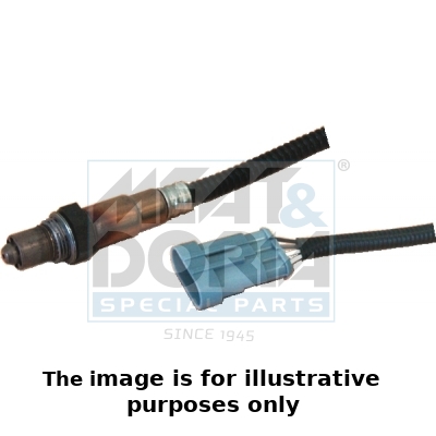 Cod. 81088E