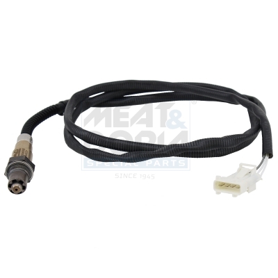 Cod. 81090E