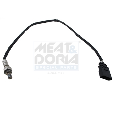Cod. 81098E
