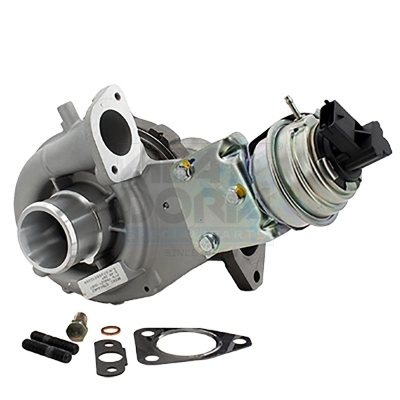 Cod. 65201