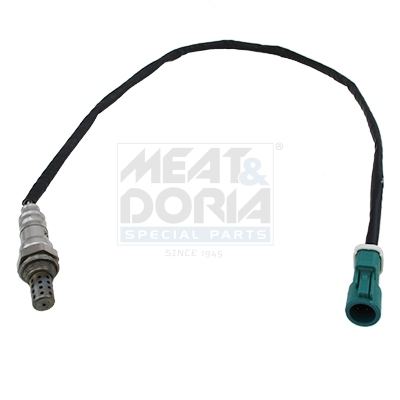 Cod. 81029E