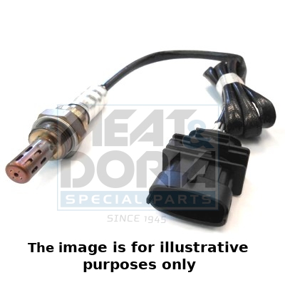 Cod. 81502E