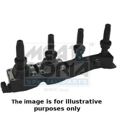 Cod. 10335E
