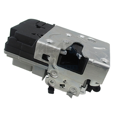 Cod. 31662