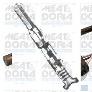 Cod. 81100