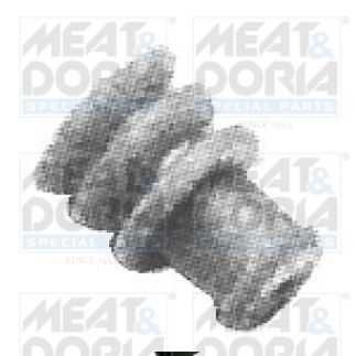 Cod. 81104