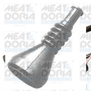 Cod. 81133