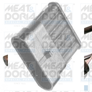 Cod. 81145