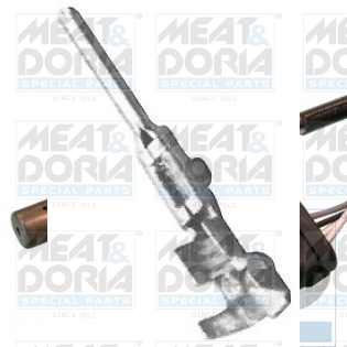 Cod. 81152